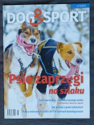 Dog & Sport